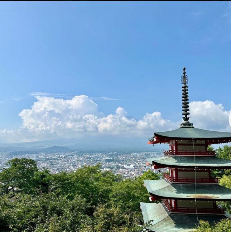Tokyo Mount Fuji Hakone Full-Day Private Tour - Should you book this Mount Fuji and Hakone day trip?