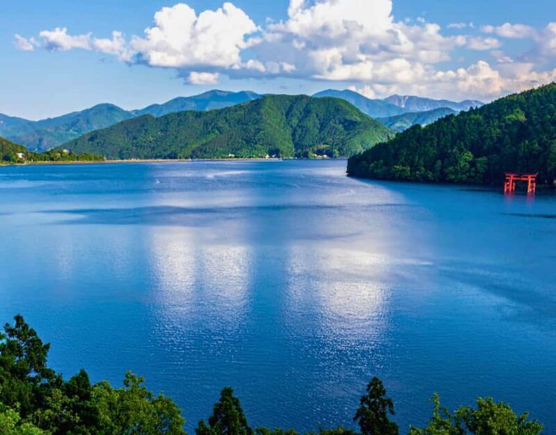 Tokyo: Mount Fuji & Hakone Highlights Private Full-Day Tour - The Experience from Reviews