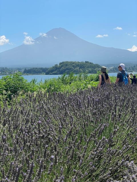 Tokyo: Mount fuji & Hakone Private Day Tour - Why Choose the Mount Fuji & Hakone Private Tour?