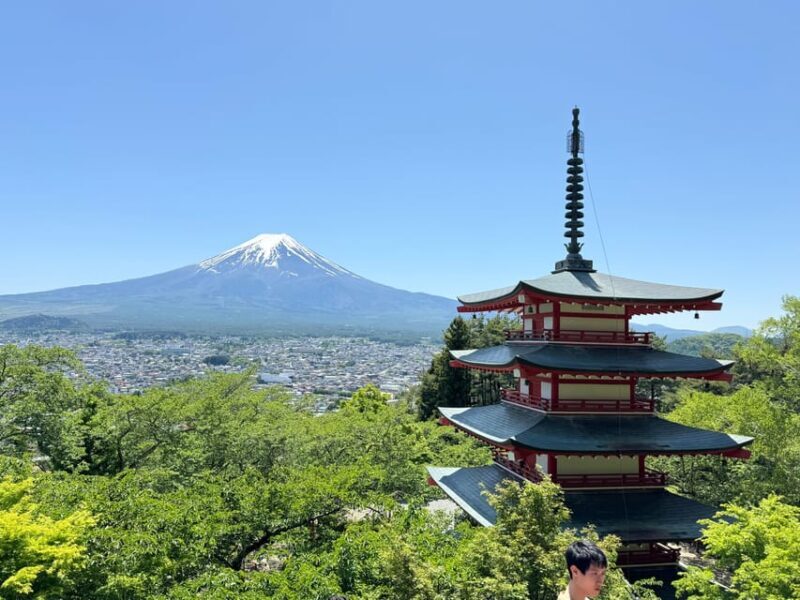 Tokyo: Mount fuji & Hakone Private Day Tour - FAQ