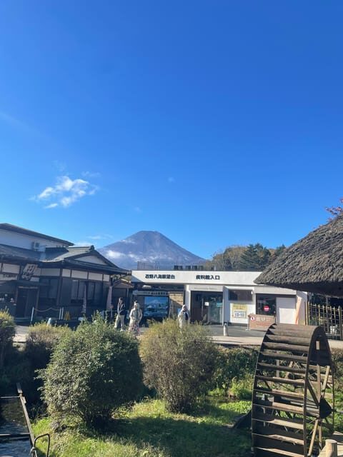 Tokyo: Mount fuji & Hakone Private Day Tour - Who Will Love This Tour?
