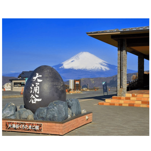 Tokyo: Mount Fuji & Hakone Private Must Seen Places Tour - Transportation and Accessibility