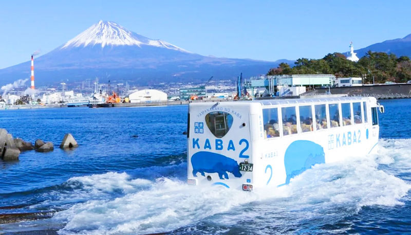 Tokyo Mount Fuji, KABA Bus, and Oshino Hakkai Day Trip - A few details to know before you book