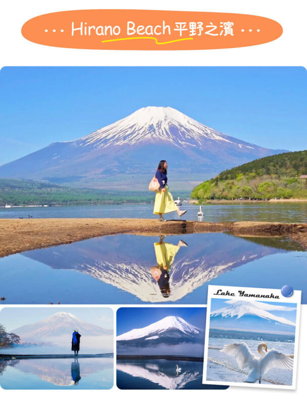 Tokyo Mount Fuji, KABA Bus, and Oshino Hakkai Day Trip - Oishi Park pairs flower beds with a Fuji backdrop