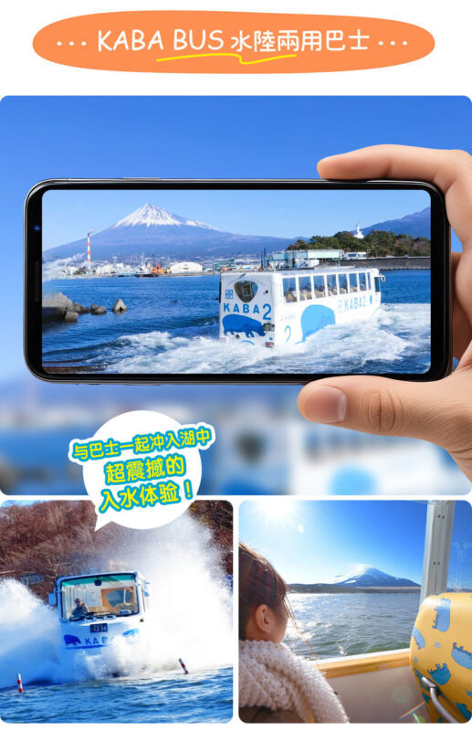 Tokyo Mount Fuji, KABA Bus, and Oshino Hakkai Day Trip - What the price buys, and what it does not