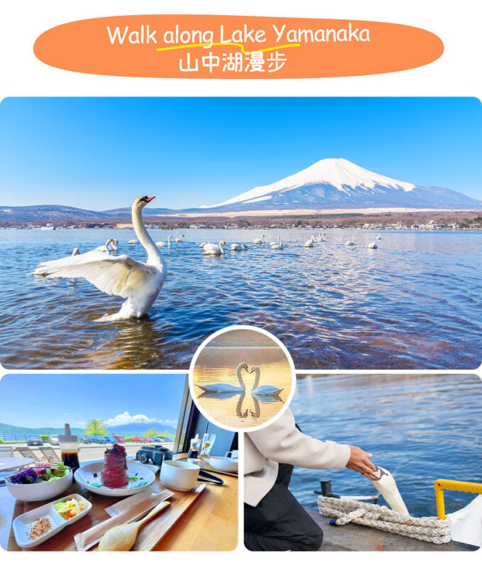 Tokyo Mount Fuji, KABA Bus, and Oshino Hakkai Day Trip - Who will get the most from this day trip