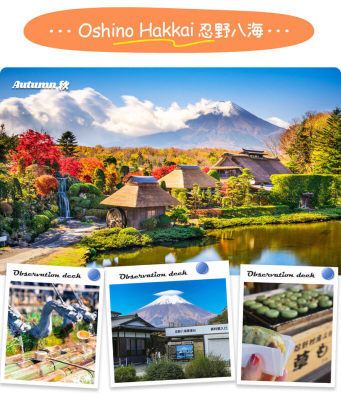 Tokyo Mount Fuji, KABA Bus, and Oshino Hakkai Day Trip - Should you book it?