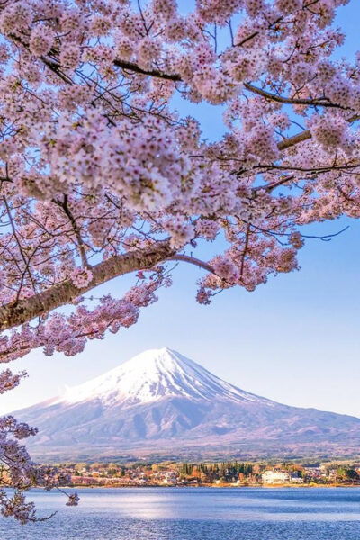 Tokyo: Mount Fuji, Kawaguchi Lake, Oshino Hakkai 1-Day Trip - Frequently Asked Questions