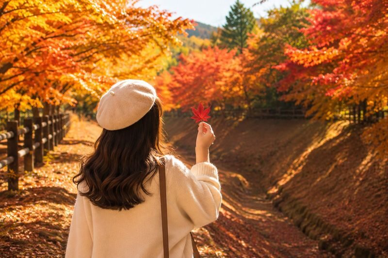 Tokyo Mount Fuji Kawaguchiko & Gotemba Premium Outlets Day Trip - The guide can make or break the rhythm