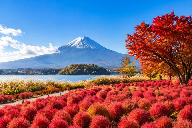 Tokyo Mount Fuji Kawaguchiko & Gotemba Premium Outlets Day Trip - Is $49.19 good value?