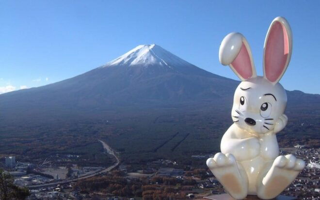 Tokyo: Mount Fuji Kawaguchiko Ropeway Sightseeing Day Tour - Guided Tour Experience