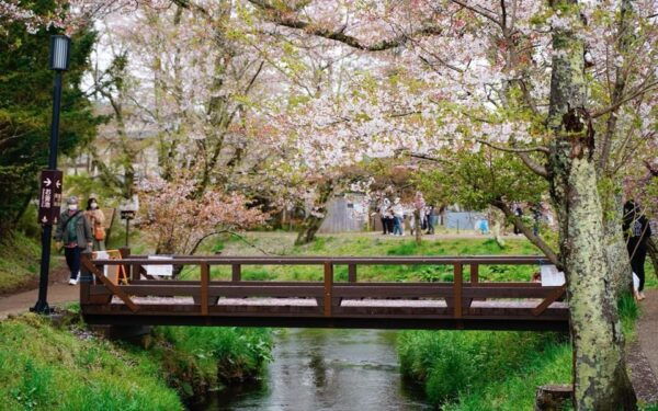 Tokyo: Mount Fuji Kawaguchiko Ropeway Sightseeing Day Tour - Inclusions and Exclusions