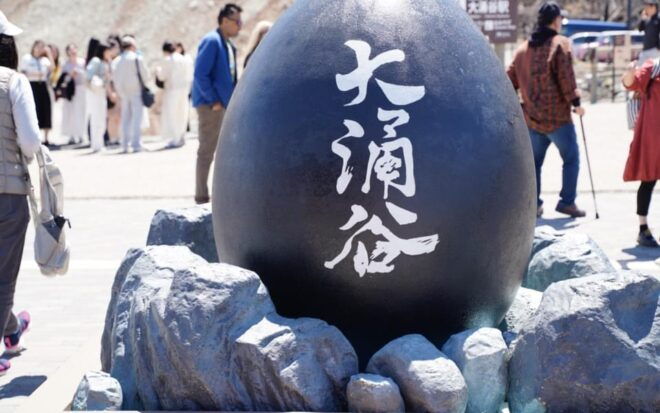 Tokyo: Mount Fuji Lake Ashi Cruise One Day Tour - Transportation Details