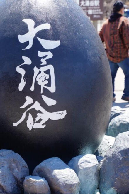 Tokyo: Mount Fuji Lake Ashi Cruise One Day Tour - Inclusions of the Tour
