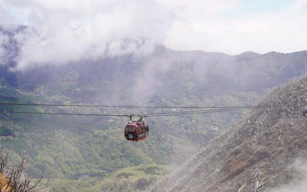 Tokyo: Mount Fuji Lake Ashi Cruise One Day Tour - Booking and Cancellation Policy
