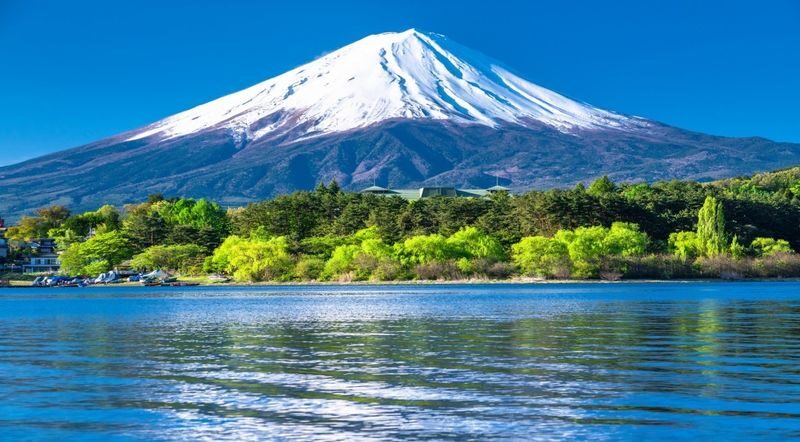 Tokyo Mount Fuji & Lake Kawaguchi Full-Day Private Tour - Chureito Pagoda and the famous viewpoint