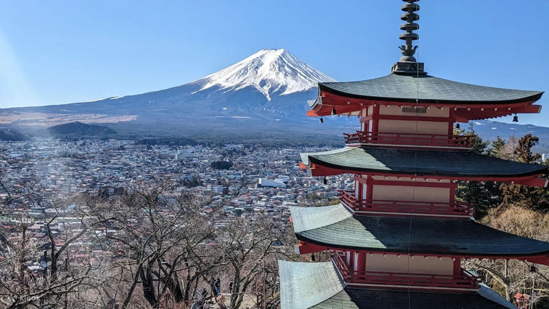 Tokyo Mount Fuji & Lake Kawaguchi Full-Day Private Tour - What a good guide adds