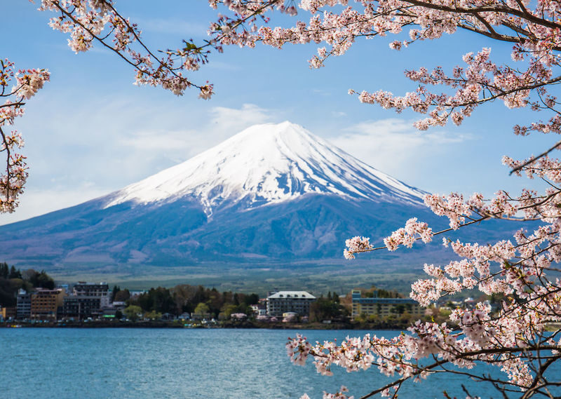 Tokyo Mount Fuji & Lake Kawaguchi Full-Day Private Tour - Weather, crowds, and the limits of a custom route