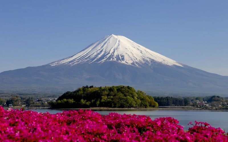 Tokyo Mount Fuji & Lake Kawaguchi Full-Day Private Tour - Who will get the most from this day