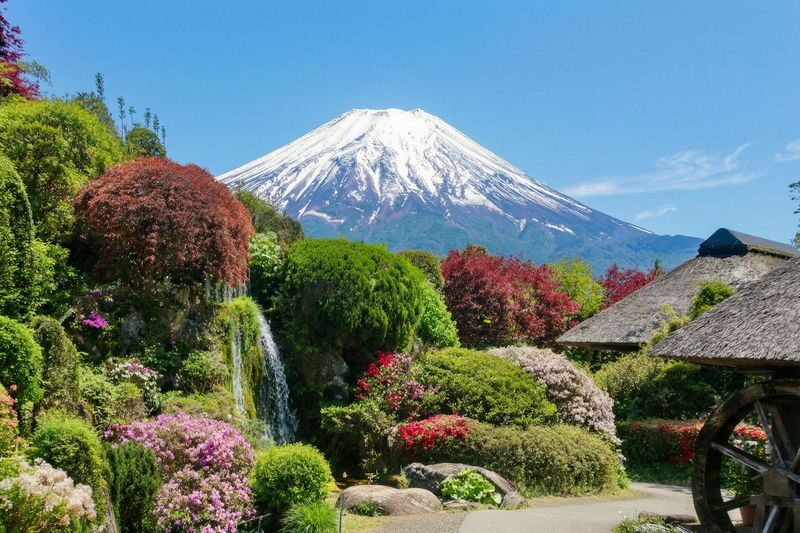 Tokyo Mount Fuji Lake Kawaguchiko Full-Day Small Group Tour (Driver and Guide Service) - What the price covers, and what it does not
