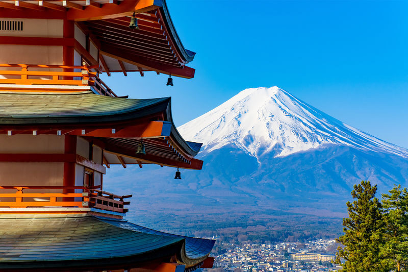 Tokyo Mount Fuji Lake Kawaguchiko Full-Day Small Group Tour (Driver and Guide Service) - Is this the right Fuji day trip for you?
