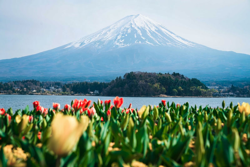 Tokyo Mount Fuji & Lake Kawaguchiko Full-Day Tour with Private Car - The driver can make the long day easier