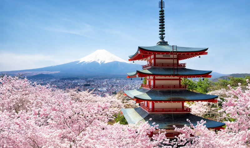 Tokyo Mount Fuji & Lake Kawaguchiko Full-Day Tour with Private Car - Weather, timing, and the day’s limits