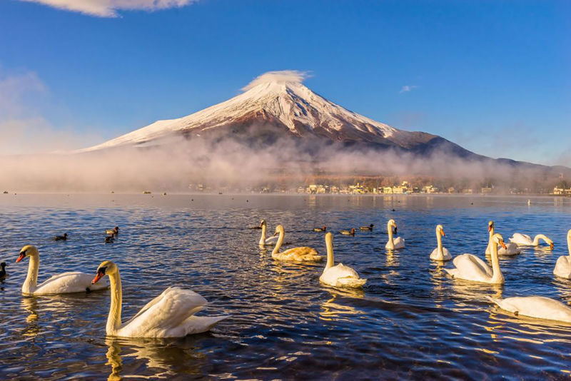 Tokyo Mount Fuji & Lake Kawaguchiko Full-Day Tour with Private Car - Should you book it?