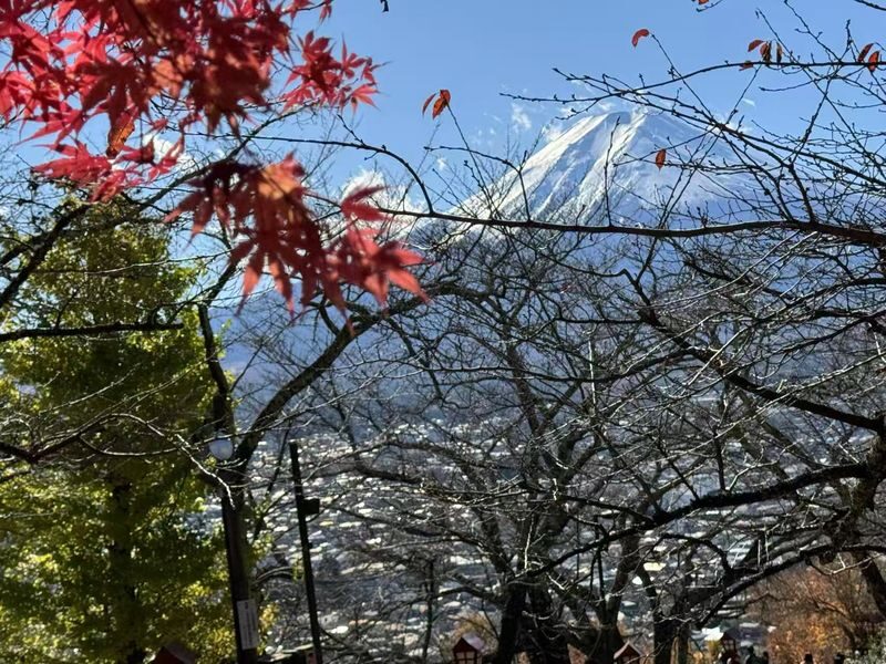 Tokyo Mount Fuji & Lake Kawaguchiko Full-Day Tour with Private Car - A day out from Tokyo, with the mountain as the wild card