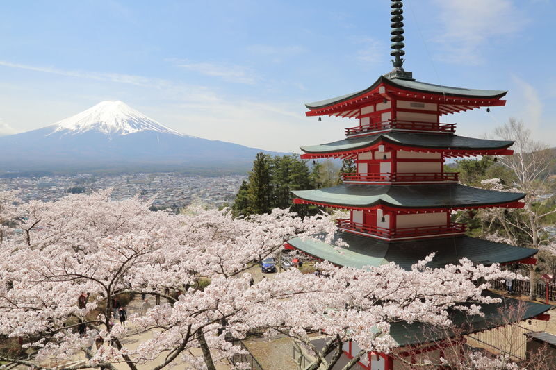 Tokyo Mount Fuji & Lake Kawaguchiko Full-Day Tour with Private Car - Is $409.89 good value?