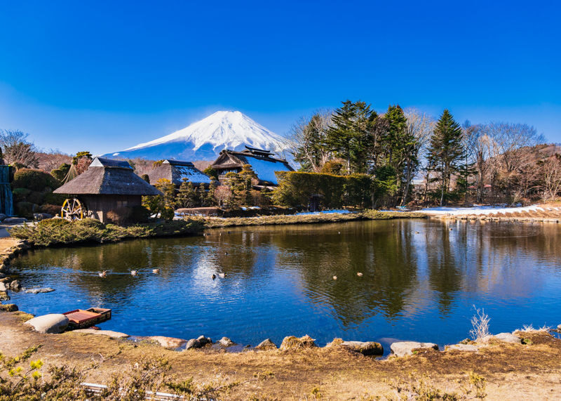 Tokyo Mount Fuji & Lake Kawaguchiko Full-Day Tour with Private Car - Who should choose this private-car tour?