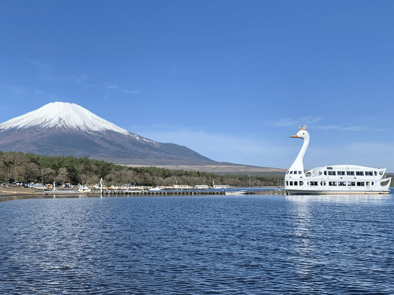 Tokyo Mount Fuji & Lake Kawaguchiko Full-Day Tour with Private Car - Should you book it?
