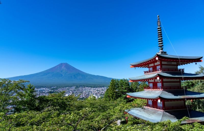 Tokyo Mount Fuji, Lake Kawaguchiko, Oshino Hakkai Day Tour - Key points before you book
