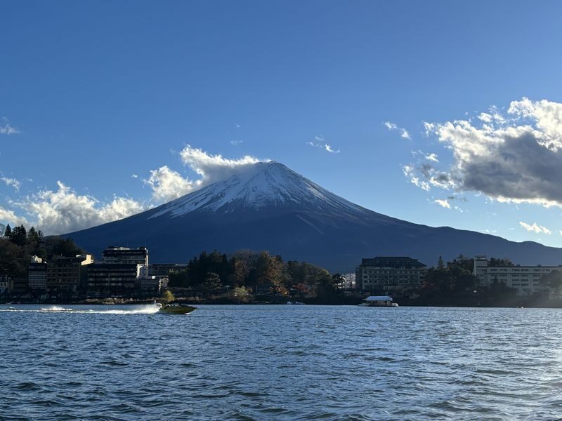 Tokyo Mount Fuji, Lake Kawaguchiko, Oshino Hakkai Day Tour - The bus saves effort, but the schedule sets the pace