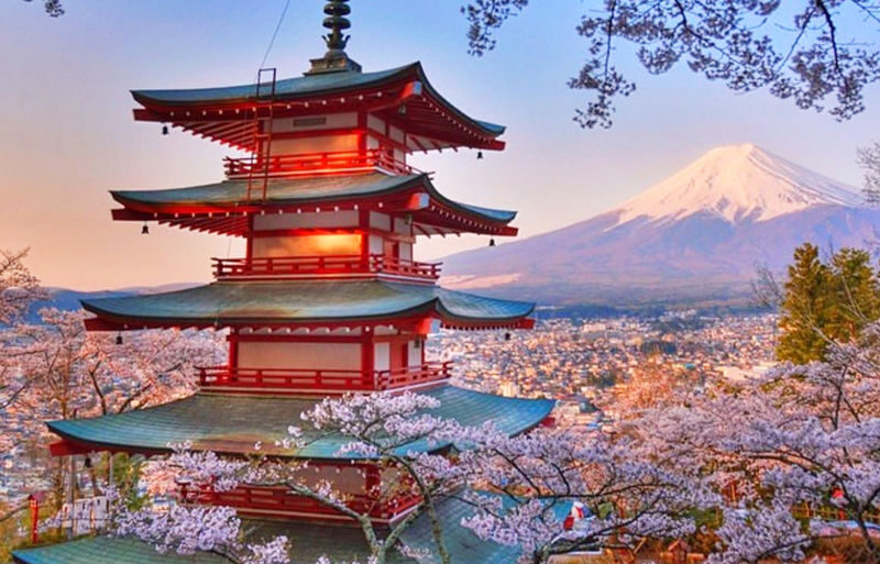 Tokyo Mount Fuji & Lake Kawaguchiko Sunset Tour - What to know before you book