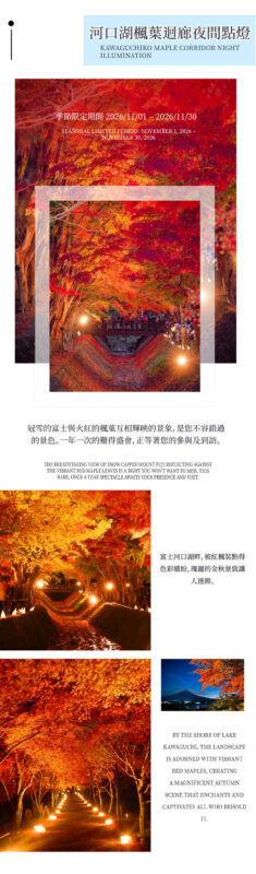Tokyo Mount Fuji & Lake Kawaguchiko Sunset Tour - Is $49.20 good value?