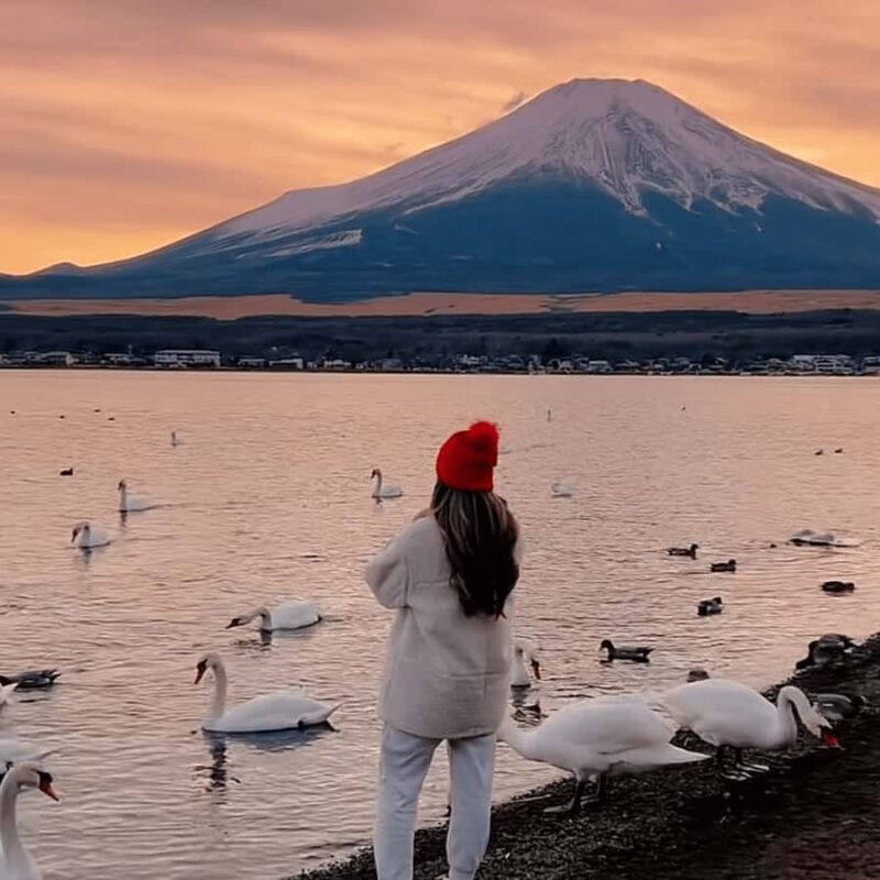 Tokyo: Mount Fuji Must See Private Tour Adjustable Itinerary - Who Should Consider This Tour?