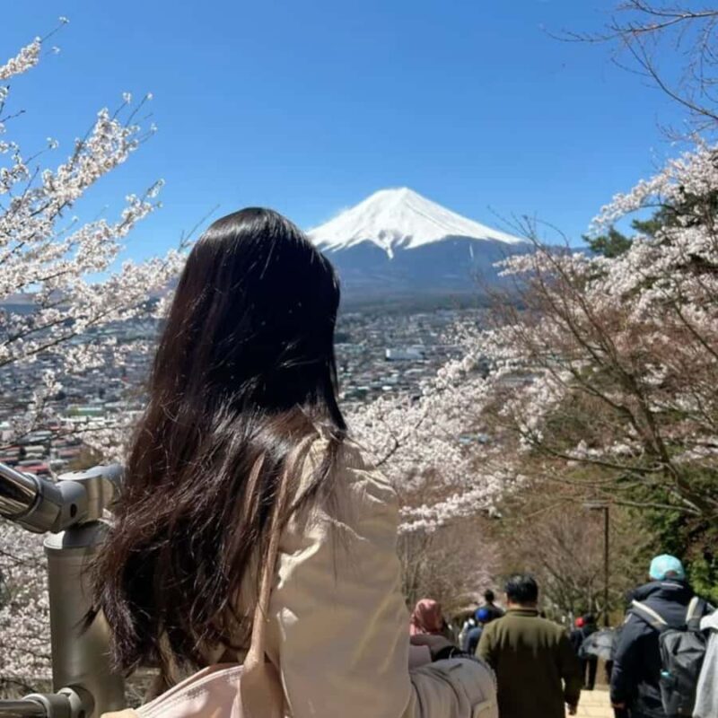 Tokyo: Mount Fuji Must See Private Tour Adjustable Itinerary - Practical Considerations & Value