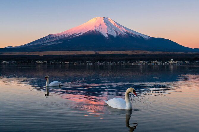Tokyo: Mount Fuji One Day Trip Lake Kawaguchi & Lake Yamanaka - FAQs