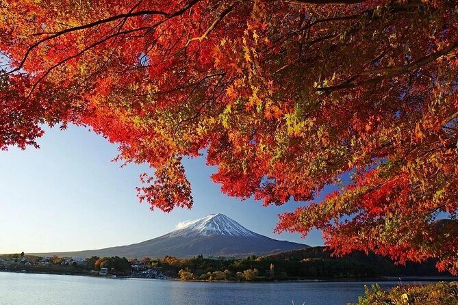 Tokyo: Mount Fuji One Day Trip Lake Kawaguchi & Lake Yamanaka - Good To Know
