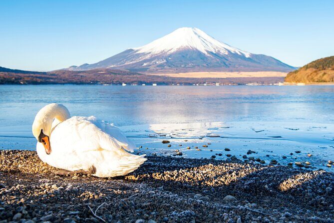 Tokyo: Mount Fuji One Day Trip Lake Kawaguchi & Lake Yamanaka - The Itinerary Breakdown: What You’ll Experience