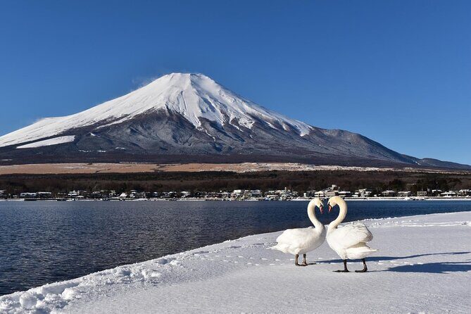Tokyo: Mount Fuji One Day Trip Lake Kawaguchi & Lake Yamanaka - Pricing and Value for Money