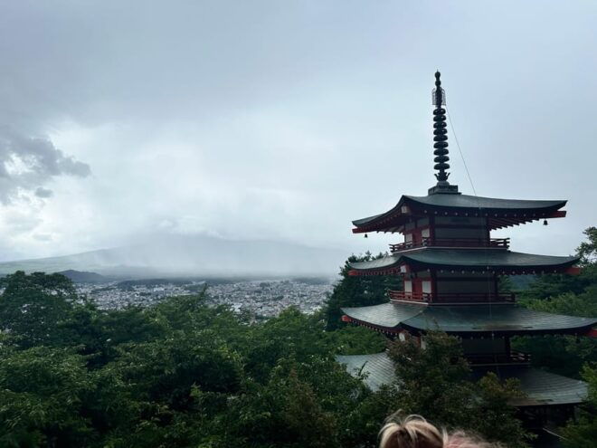 Tokyo: Mount Fuji or Hakone Customized Private Full-Day Trip - Inclusions and Amenities
