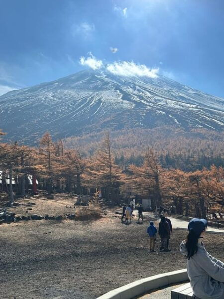 Tokyo: Mount Fuji or Hakone Customized Private Full-Day Trip - Important Guidelines