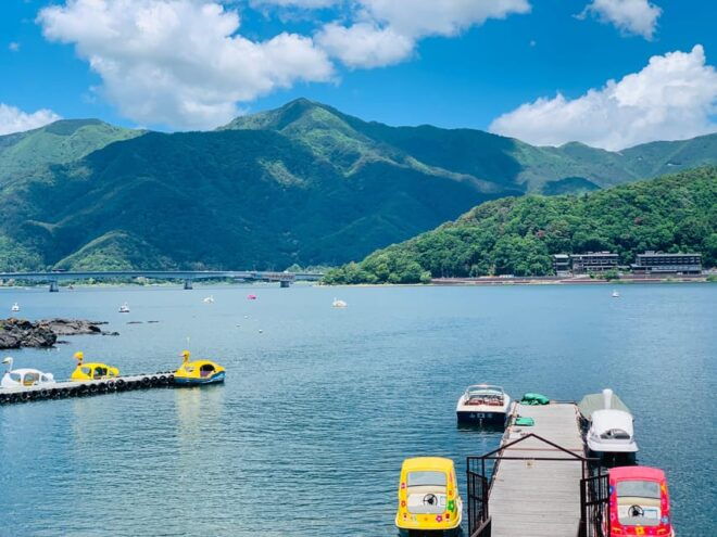 Tokyo: Mount Fuji or Hakone Customized Private Full-Day Trip - Comfortable Transportation Details