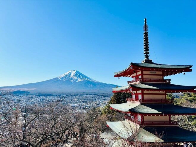 Tokyo: Mount Fuji or Hakone Customized Private Full-Day Trip - Customer Ratings and Feedback