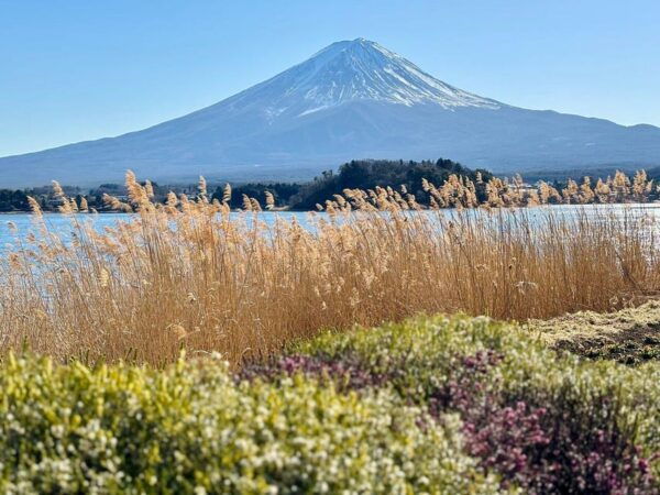 Tokyo: Mount Fuji or Hakone Customized Private Full-Day Trip - Tips for an Enjoyable Experience