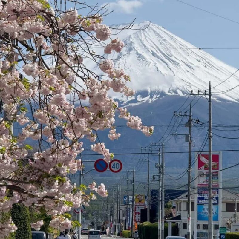 Tokyo: Mount Fuji Private Customizable Tour In Luxury Van - Frequently Asked Questions