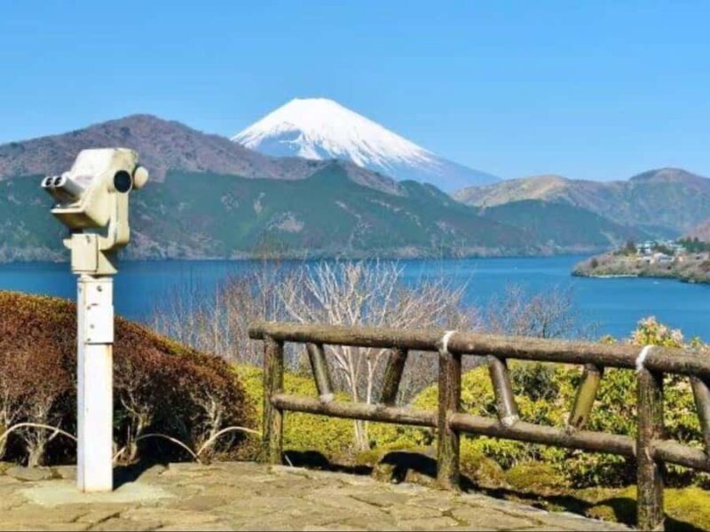 Tokyo : Mount Fuji Private Customized Tour English Guide - Good To Know