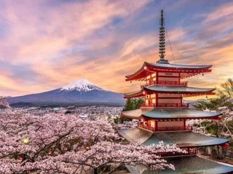 Tokyo : Mount Fuji Private Customized Tour English Guide - What Makes This Tour Stand Out?
